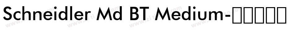 Schneidler Md BT Medium字体转换